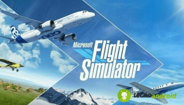 Microsoft Flight Simulator