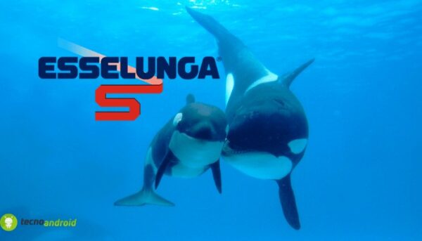esselunga