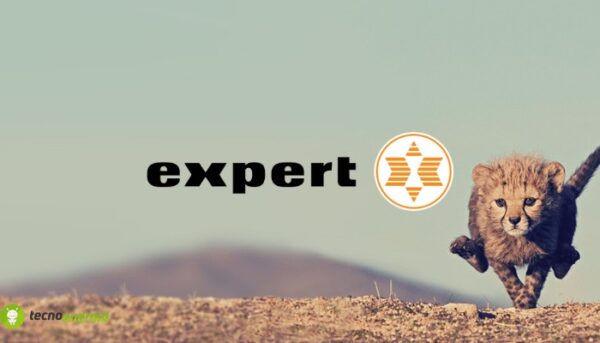 expert