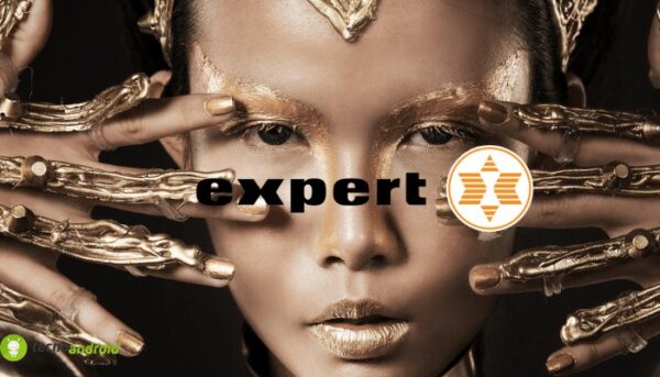 expert