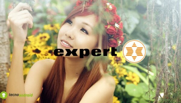 expert