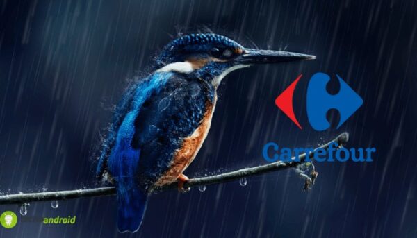 carrefour