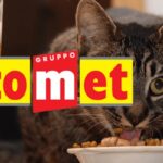 comet