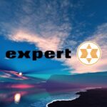 expert