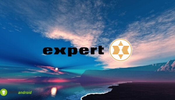 expert