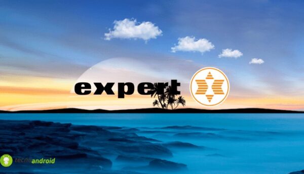 expert