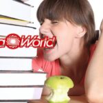 mediaworld