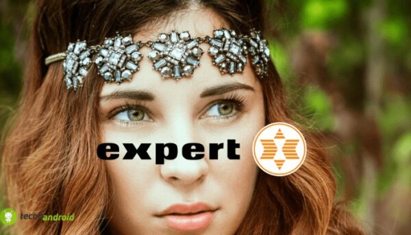 expert