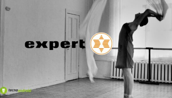 expert