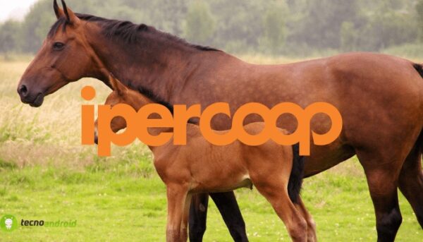 coop