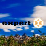 expert