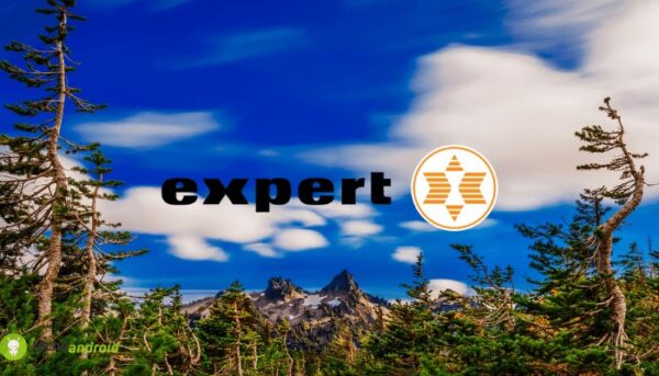 expert