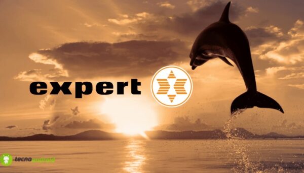 expert