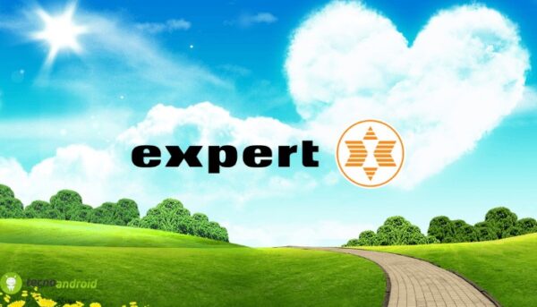 expert