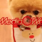 mediaworld