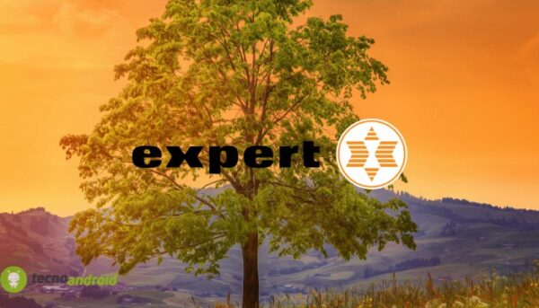 expert