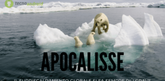 Apocalisse: la cruda realtà sul cambiamento climatico secondo il Ministro Cingolani