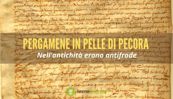 Truffe: le antiche pergamene in pelle di pecora non permettevano la frode
