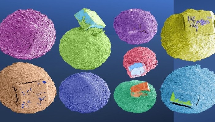 In futuro per studiare il cervello useremo dei mini-organi con chip