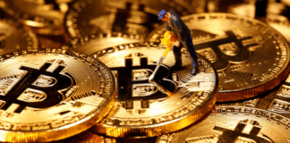 Bitcoin: la valuta digitale potrebbe divenire “una valuta del commercio internazionale”