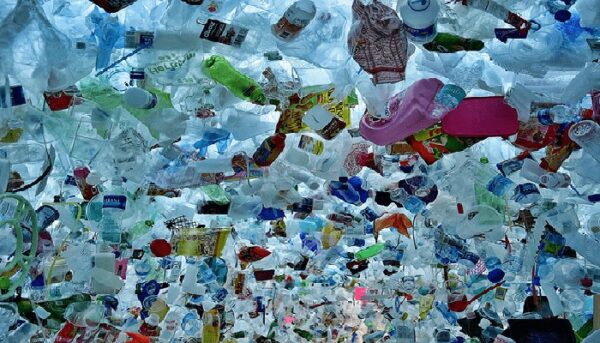 microplastiche