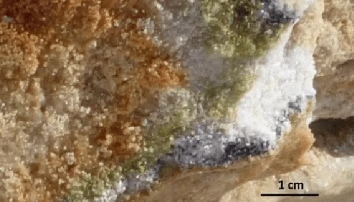 Caratterizzate 269 specie di batteri in Antartide mai caratterizzate prima