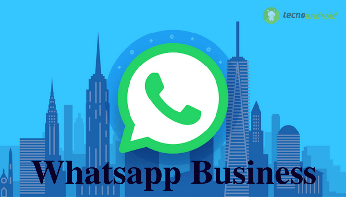 Whatsapp Business: ora è possibile gestire i cataloghi come non avete mai fatto