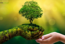 Earth Day: le offerte eco-friendly di Luce e Gas stanno cambiando il mercato italiano