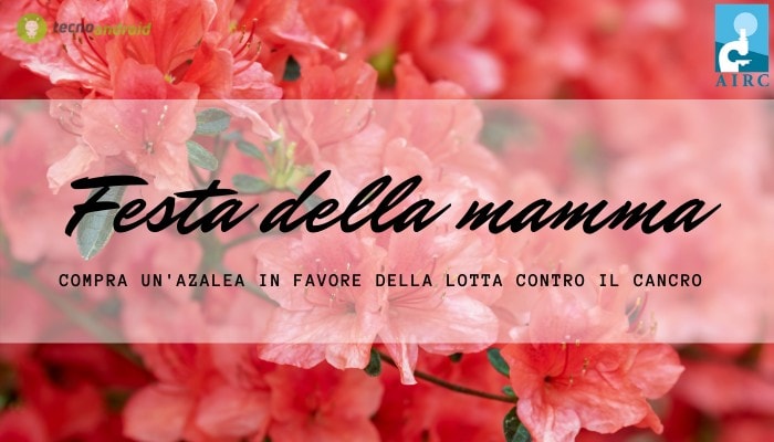 Festa della mamma: un’Azalea dell’AIRC per regalo aiuterà nella lotta contro il cancro