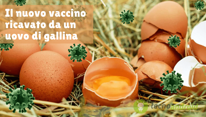 Coronavirus: arriva da Messico e Brasile il nuovo vaccino ricavato dalle uova di gallina
