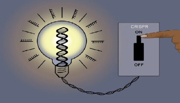 CRISPRoff