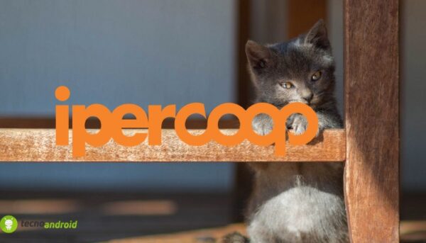 coop