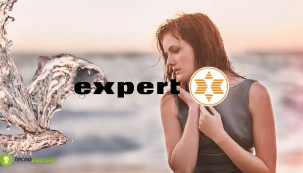 expert
