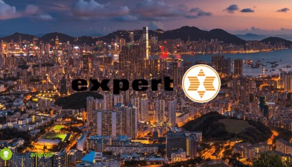expert