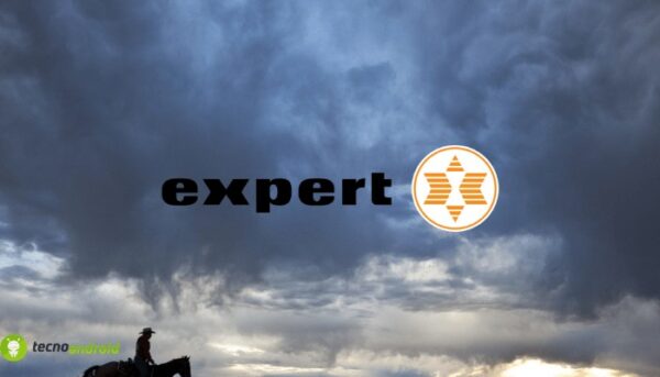 expert