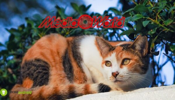 mediaworld