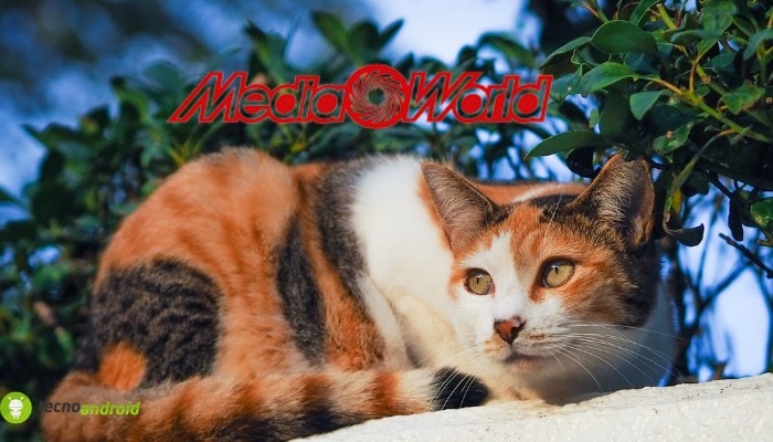 Mediaworld: che occasioni, il volantino lascia tutti a bocca aperta