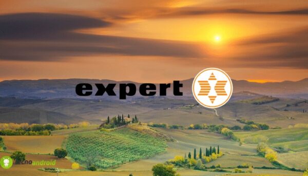 expert