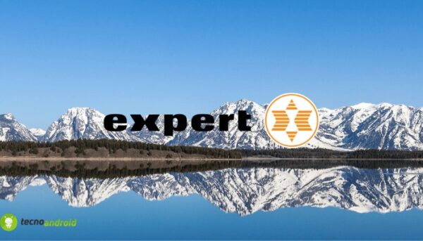 expert
