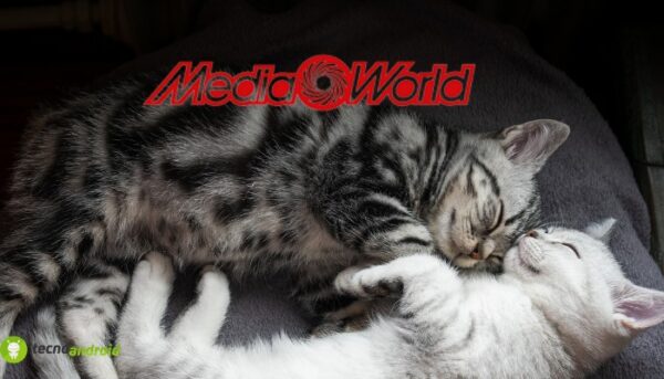 mediaworld
