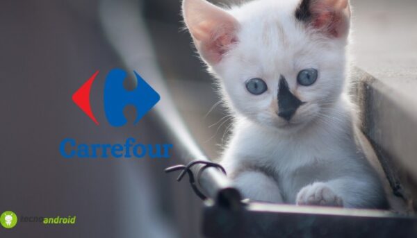 carrefour