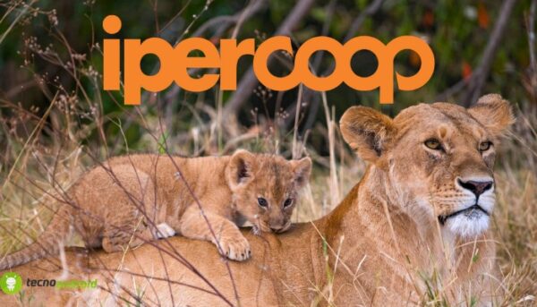 coop
