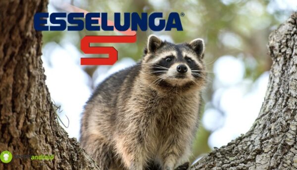 esselunga