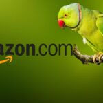 amazon