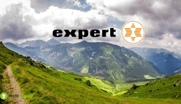 expert
