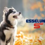 esselunga