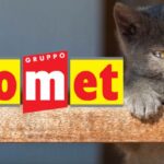 comet