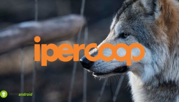 coop