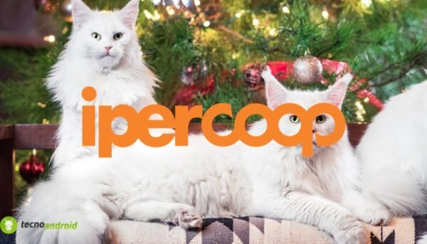 coop