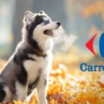 carrefour